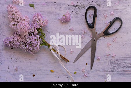 Bouquet fiore lilla con ferro vecchio giardino forbici bianco su sfondo di legno/ molla sfondo/ concetto di giardinaggio - Immagine Foto Stock