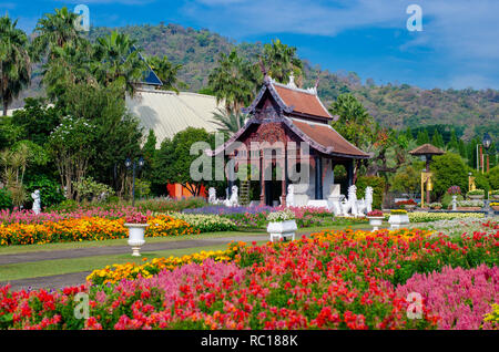 Flower Garden Royal Park Ratchaphruek Chiang Mai Thailandia Foto Stock