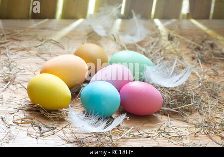 Organici di pasqua decorazione colorata uova nel pollaio molla sfondo astratto Foto Stock