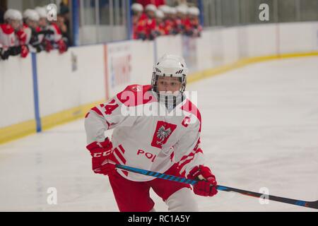 Dumfries Scozia, 12 gennaio 2019. Wiktoria Sikorska, capitano della Polonia, giocando contro la Cina nel 2019 Hockey su ghiaccio U18 Donne del Campionato del Mondo, Divisione 1, gruppo B, a Dumfries ciotola di ghiaccio. Credito: Colin Edwards/Alamy Live News. Foto Stock