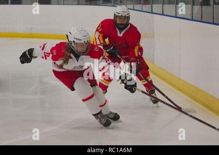 Dumfries Scozia, 12 gennaio 2019. Anna Kot della Polonia si estende per il puck come Huiru Zhan della Cina segue il suo durante la loro partita nel 2019 Hockey su ghiaccio U18 Donne del Campionato del Mondo, Divisione 1, gruppo B, a Dumfries ciotola di ghiaccio. Credito: Colin Edwards/Alamy Live News. Foto Stock