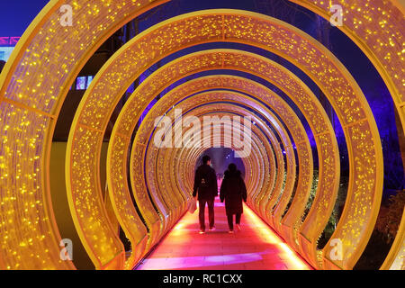 Xian, Cina. Xii gen, 2019. Un bellissimo spettacolo di luci per celebrare il prossimo nuovo anno lunare cinese è eretto in Cina nord-occidentale della provincia di Shaanxi. Credito: SIPA Asia/ZUMA filo/Alamy Live News Foto Stock