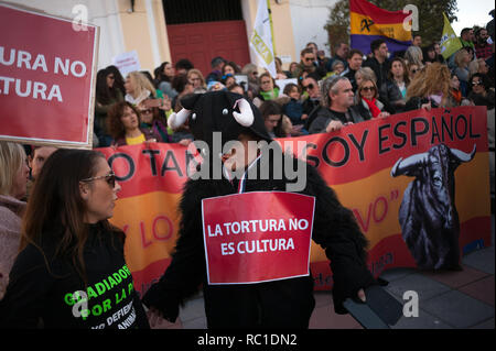 MALAGA, Spagna. Xii gen, 2019. Una Donna vestita di un costume di bull visto durante la protesta.Dopo l'Andalusia elezioni regionali e l'ingresso della spagnola estrema destra partito politico VOX alla Andalusia il parlamento, partito esige controversa politica come le leggi che proteggono la corrida e caccia e altre e quindi una manifestazione di protesta contro il ritorno delle corride a Marbella città è stata messa in scena. Credito: Gesù Merida/SOPA Immagini/ZUMA filo/Alamy Live News Foto Stock