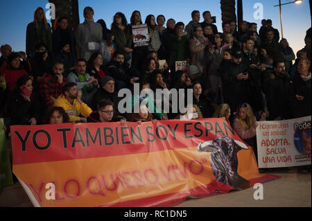 MALAGA, Spagna. Xii gen, 2019. Anti corrida manifestanti sono visti tenendo un banner durante la protesta.Dopo l'Andalusia elezioni regionali e l'ingresso della spagnola estrema destra partito politico VOX alla Andalusia il parlamento, partito esige controversa politica come le leggi che proteggono la corrida e caccia e altre e quindi una manifestazione di protesta contro il ritorno delle corride a Marbella città è stata messa in scena. Credito: Gesù Merida/SOPA Immagini/ZUMA filo/Alamy Live News Foto Stock