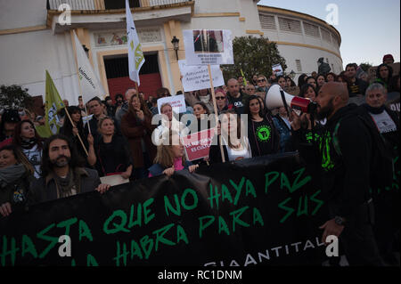 MALAGA, Spagna. Xii gen, 2019. Anti corrida manifestanti sono visti tenendo cartelloni e un banner durante la protesta.Dopo l'Andalusia elezioni regionali e l'ingresso della spagnola estrema destra partito politico VOX alla Andalusia il parlamento, partito esige controversa politica come le leggi che proteggono la corrida e caccia e altre e quindi una manifestazione di protesta contro il ritorno delle corride a Marbella città è stata messa in scena. Credito: Gesù Merida/SOPA Immagini/ZUMA filo/Alamy Live News Foto Stock