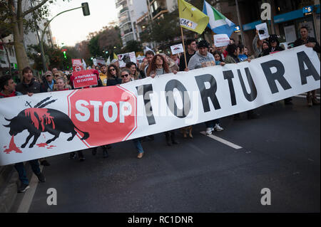 MALAGA, Spagna. Xii gen, 2019. Anti corrida manifestanti sono visti tenendo un banner durante la protesta.Dopo l'Andalusia elezioni regionali e l'ingresso della spagnola estrema destra partito politico VOX alla Andalusia il parlamento, partito esige controversa politica come le leggi che proteggono la corrida e caccia e altre e quindi una manifestazione di protesta contro il ritorno delle corride a Marbella città è stata messa in scena. Credito: Gesù Merida/SOPA Immagini/ZUMA filo/Alamy Live News Foto Stock
