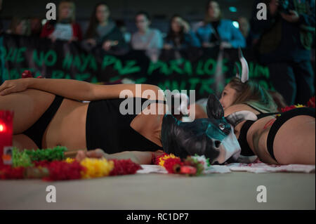 MALAGA, Spagna. Xii gen, 2019. Anti corrida manifestanti sono visti eseguire durante la protesta.Dopo l'Andalusia elezioni regionali e l'ingresso della spagnola estrema destra partito politico VOX alla Andalusia il parlamento, partito esige controversa politica come le leggi che proteggono la corrida e caccia e altre e quindi una manifestazione di protesta contro il ritorno delle corride a Marbella città è stata messa in scena. Credito: Gesù Merida/SOPA Immagini/ZUMA filo/Alamy Live News Foto Stock
