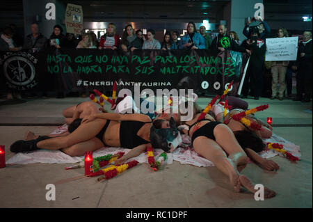 MALAGA, Spagna. Xii gen, 2019. Anti corrida manifestanti sono visti eseguire durante la protesta.Dopo l'Andalusia elezioni regionali e l'ingresso della spagnola estrema destra partito politico VOX alla Andalusia il parlamento, partito esige controversa politica come le leggi che proteggono la corrida e caccia e altre e quindi una manifestazione di protesta contro il ritorno delle corride a Marbella città è stata messa in scena. Credito: Gesù Merida/SOPA Immagini/ZUMA filo/Alamy Live News Foto Stock