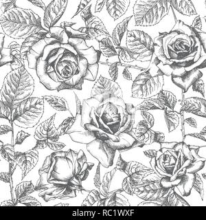 Senza cuciture a mano modello bozzetto roses vintage dettagliata illuatration botanico. Cornice floreale. Silhouette nera isollated su sfondo bianco. Illustrazione Vettoriale