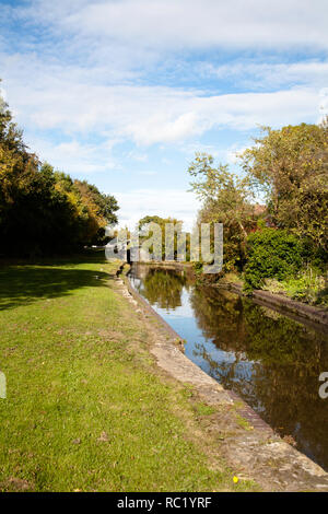 Il Montgomery Canal vicino abbassare Frankton Ellesmere Shropshire Inghilterra Foto Stock