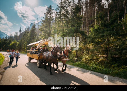 Parco nazionale dei Alti Tatra, Polonia - 29 agosto 2018: l'uomo in Nazionale Polacca tradizionale etnica Folk costumi cavalcare un carrello imbrigliato da una coppia di cavalli lungo Foto Stock