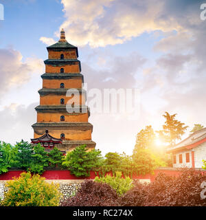 Giant Pagoda in mattinata, Xi'an, Cina Foto Stock