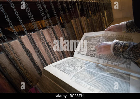 Dr Rosmarino Firman ispeziona Foxe il libro dei martiri durante la pulizia annuale di Hereford libreria concatenata a Hereford Cathedral, Herefordshire. Il concatenamento dei libri era il più diffuso ed efficace sistema di sicurezza in biblioteche europee dal Medioevo al XVIII secolo, e la Cattedrale di Hereford del 17esimo secolo libreria concatenata è il più grande per sopravvivere con tutte le sue catene, le aste e le serrature intatto. Foto Stock