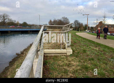 Le misure di difesa contro le inondazioni accanto al fiume Connswater in East Belfast. Circa 45.000 proprietà in Irlanda del Nord sono a rischio di inondazione come il paese bretelle per stormier e ulteriori condizioni atmosferiche estreme, una relazione detto. Foto Stock