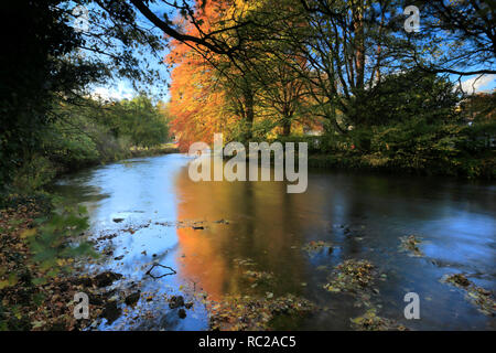 I colori autunnali, fiume Wye, Ashford nel villaggio di acqua, parco nazionale di Peak District, Derbyshire Dales, England, Regno Unito Foto Stock