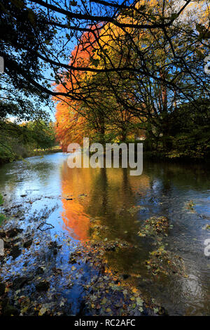 I colori autunnali, fiume Wye, Ashford nel villaggio di acqua, parco nazionale di Peak District, Derbyshire Dales, England, Regno Unito Foto Stock