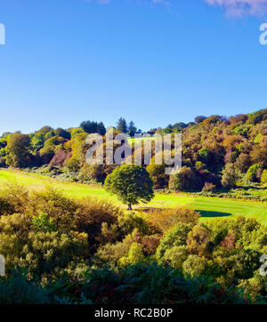 Un soleggiato autunno autunno vista della verdeggiante campagna della contea di Wicklow, Irlanda. Foto Stock