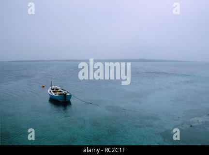 Vista nebbiosa dal Molo Vecchio attraverso il Sud stoppino per la piccola isola di lecci di Papa Westray, isole Orcadi, Scozia. Foto Stock