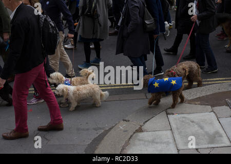 Un gruppo di cani e i loro proprietari si affollano le strade di Londra per il 'wooferendum' una dimostrazione contro Brexit che esigeva una seconda votazione Brexit. Foto Stock