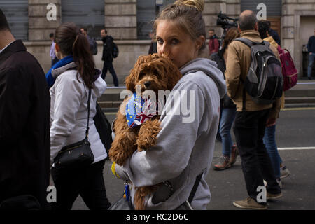 Un gruppo di cani e i loro proprietari si affollano le strade di Londra per il 'wooferendum' una dimostrazione contro Brexit che esigeva una seconda votazione Brexit. Foto Stock