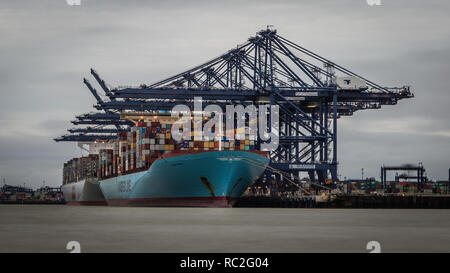 La nave portacontainer, Evelyn Maersk presso il porto di Felixstowe in Suffolk Foto Stock