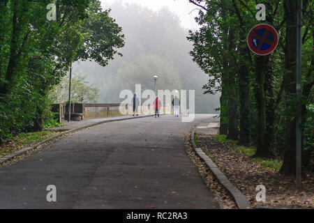 Età della donna formazione Nordic Walking durante l'inizio dell'autunno e un giorno di nebbia a Bad Honnef, Germania Foto Stock