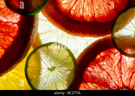Colorati misti frutta a fette arancio, cedro, pompelmo e limone. sfondo illuminato indietro Foto Stock