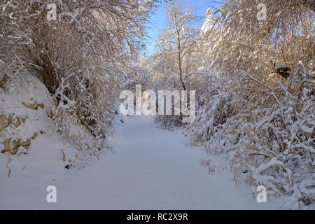 Valle dei piccioni il percorso a seguito di una pesante caduta di neve. Bush e alberi coperti in puro bianco della neve sotto il cielo blu Foto Stock