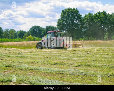 Agricoltore sul suo trattore accoppiato con un grassmower la falciatura di un prato in Barum, Elbmarsch, Bassa Sassonia, Germania Foto Stock