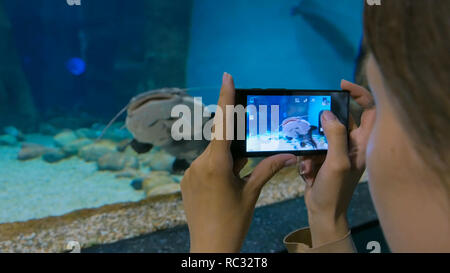 La donna prende la foto in oceanarium. Tecnologia e concetto di intrattenimento Foto Stock