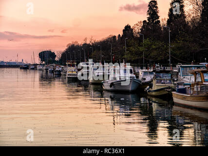 Una porta locale a Istanbul Foto Stock