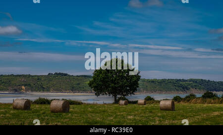 Vista della costa a sunshine in Bretagna a Capo Frehel in Francia Foto Stock