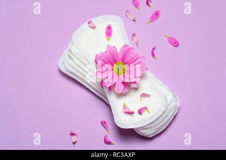 Donna di assorbenti igienici e Gerbera Daisy fiore su sfondo rosa, igiene femminile Nozione Foto Stock