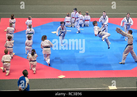 San Pietroburgo, Russia - 17 Ottobre 2015: dimostrazione delle prestazioni durante le arti marziali festival del Mar Baltico in Coppa Sibur Arena. Il tradizionale f Foto Stock