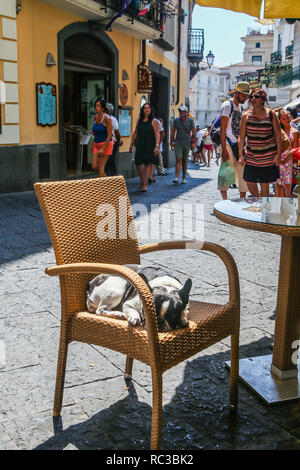 Il gatto è sdraiato su una sedia.scena di strada di Via Lorenzo d'Amalfi, la principale strada dello shopping nella città di Amalfi, Italia Foto Stock