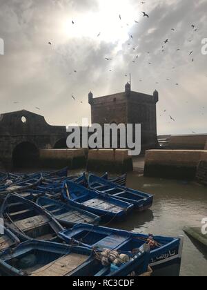 Barche blu in essaouira marocco Foto Stock