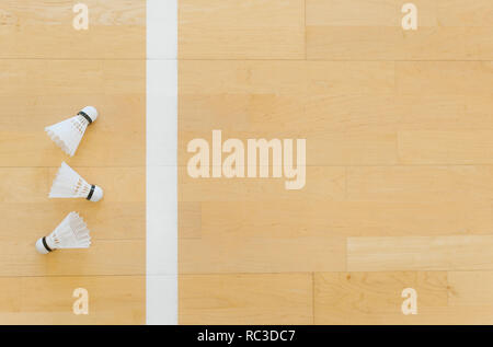 White badminton volani e linea sul piano hall a badminton. Foto Stock