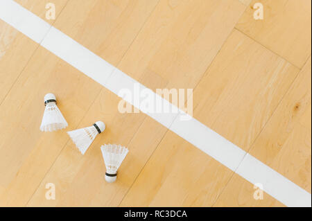 White badminton volani e linea sul piano hall a badminton. Foto Stock