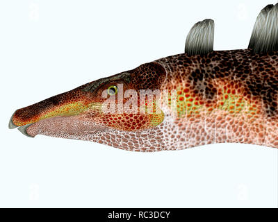 Dinosauro Kentrosaurus - Kentrosaurus era pesantemente corazzati di dinosauro erbivori che ha vissuto in Tanzania durante il Giurassico. Foto Stock