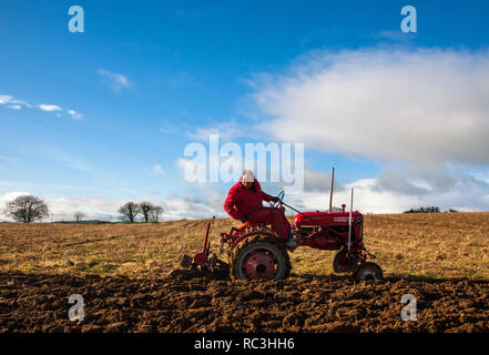 Clonakilty , Cork, Irlanda. Il 13 gennaio, 2019. Damien Ahern, Glanmire sulla sua annata Farmall Cub trattore presso il West Cork aratura match di associazione che si è tenuta nella fattoria di Tom e Liz Nyhan, Casheliskey, Clonakilty Co. Tappo di sughero. Credito: David Creedon/Alamy Live News Foto Stock