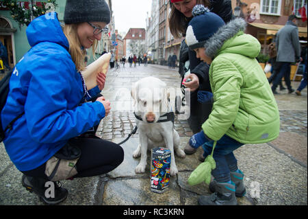 Gdansk, Polonia. 13 gennaio 2019. 27 finale della grande orchestra di Natale carità (Wielka Orkiestra Swiatecznej Pomocy WOSP) in Gdansk, Polonia. 13 gennaio 2019 © Wojciech Strozyk / Alamy Live News Credito: Wojciech Stróżyk/Alamy Live News Foto Stock