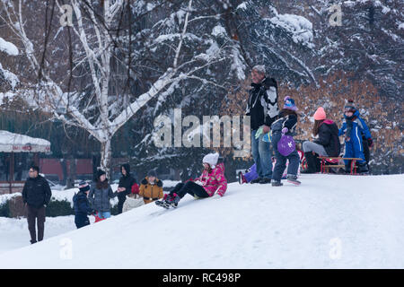 Nis, Serbia - Gennaio 12, 2019 bambini piccoli e persone godendo sulla neve e slittino giù per le colline in una fredda giornata invernale in vestiti caldi. Gioco invernale Foto Stock