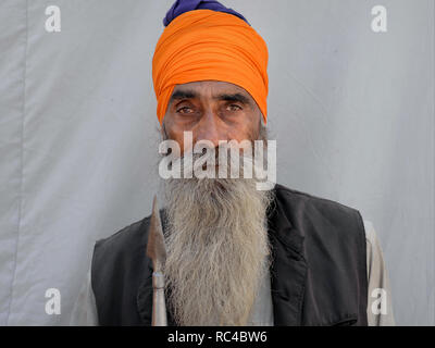 Anziani, armati indiano guerriero Sikh (nihang) con turban arancione e il tradizionale lancia/spear pone per la fotocamera. Foto Stock