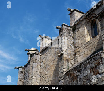 ARTE gotico. ESPAÑA. Concattedrale di Iglesia de Santa Maria la Mayor. Templo de transición del romanico al gotico erigido entre el S. XII y el S. XVI (S. XII-S. XVI). Detalle de GARGOLAS CONTRAFUERTES y. Cáceres. Extremadura. Foto Stock