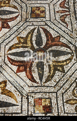 Villa romana di Pisoes. Pavimento a mosaico raffigurante geometrici e motivi naturalistici. Il Portogallo. L'Alentejo. Beja. Foto Stock
