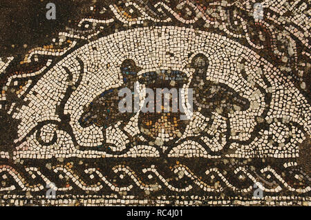 Villa romana di Pisoes. Pavimento a mosaico raffiguranti motivi naturalistici. Gli uccelli. Il Portogallo. L'Alentejo. Beja. Foto Stock