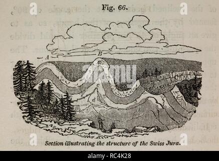Illustrato in sezione trasversale di Swiss Mountain Range dal libro " elementi di geologia'. Elementi di geologia. Londra Inghilterra. Sir Charles Lyell, 1797-1875. Elementi di geologia. Londra : J. Murray, 1838. Fonte: 725.b.41 110 fig.66. Lingua: Inglese. Foto Stock