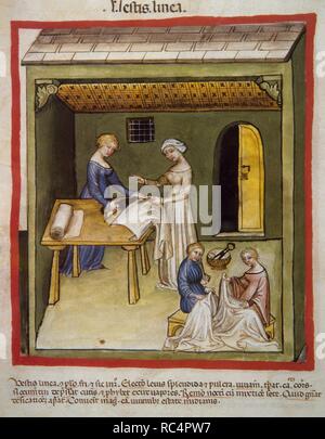 Tacuinum Sanitatis. Il XIV secolo. Manuale medievale di salute. I tessuti di lino. Folio 105v. Foto Stock