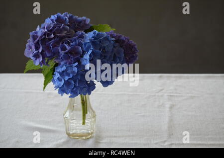 Ortensie blu in vaso sulla tabella. Foto Stock