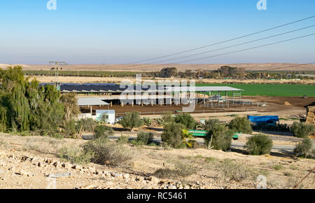 Un kibbuz fattoria nel deserto del Negev che mostra i campi di colture e una mucca fienile solare con i pannelli elettrici installati sul tetto Foto Stock